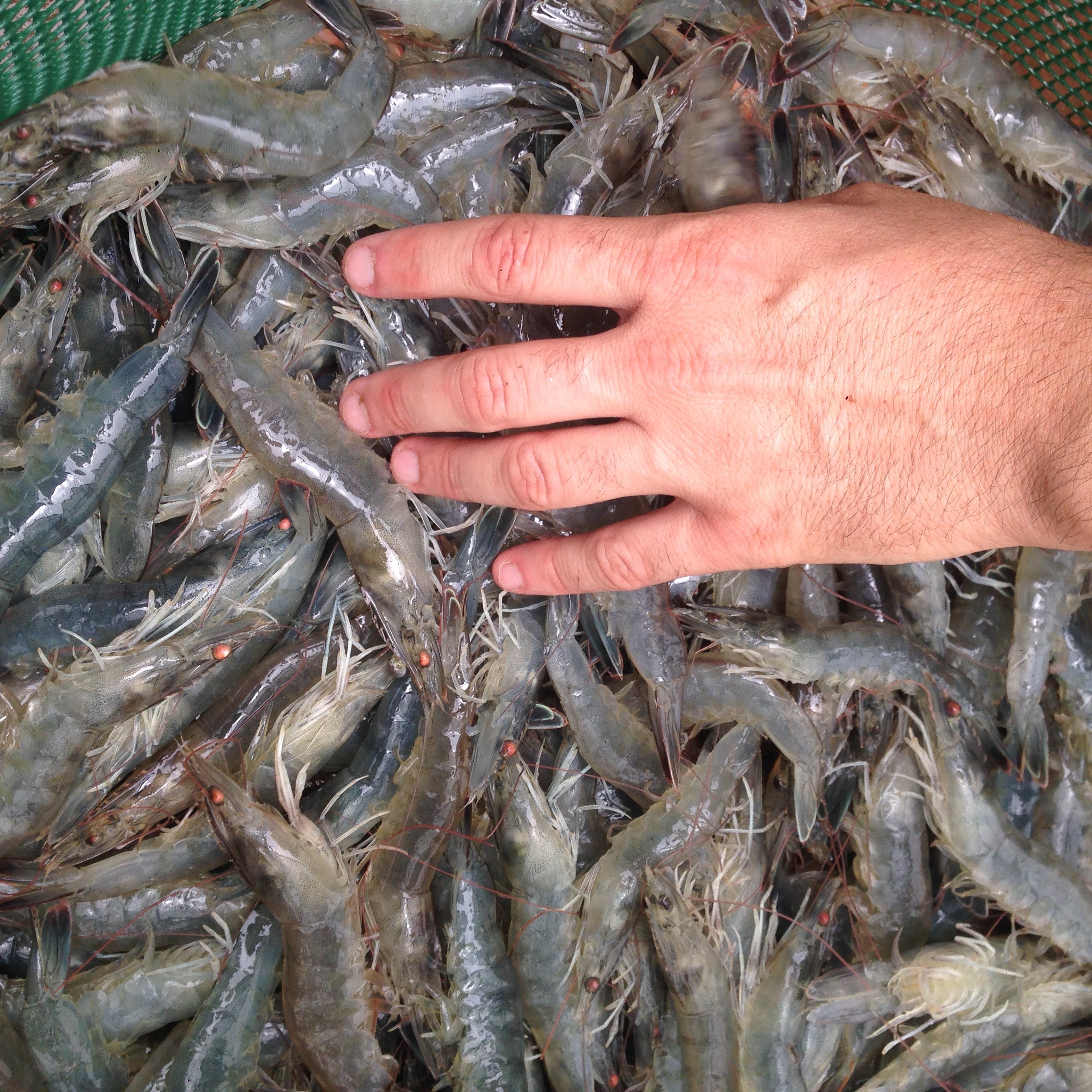 Imagen de quienes somos